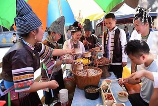 龙额镇以“油茶”为墨 描绘乡村“幸福色”。