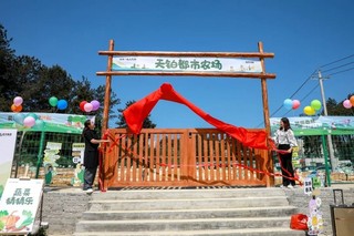 观山天铂都市农场开园。