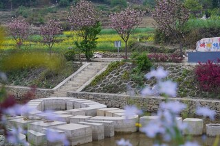 4 河道整治建成的“蝴蝶坝”.JPG