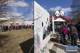 （国际）（2）多伦多动物园举行“向大熊猫道别”活动