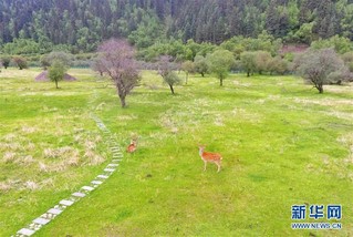 （社会）（7）高原村落变身“聚宝盆”