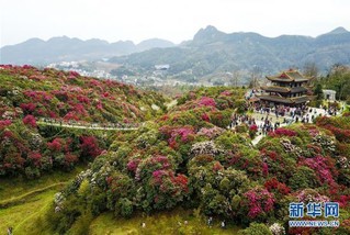 （图文互动）（10）贵州已建立106个自然保护区