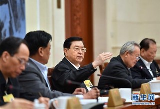 （时政）十二届全国人大常委会第二十六次会议分组审议全国人大常委会工作报告稿 张德江参加审议