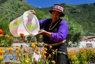 （社会）（3）西藏昌都：小康路上的美丽家园