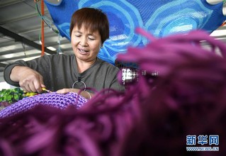 （经济）（6）山东惠民：绳网产业助增收