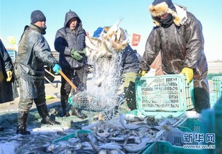 （社会）（3）达里诺尔湖上冬捕忙