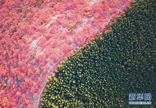 （新华视界）（13）影像回眸“十三五”——绿色发展
