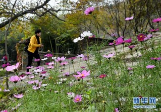 （在习近平新时代中国特色社会主义思想指引下——新时代新作为新篇章·图文互动）（9）为首都守护好绿水青山——北京更高质量保护生态涵养区调查