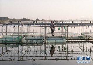 （经济）（4）太湖“退蟹还湖”环保升级