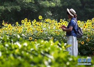 （社会）（1）上海：暂别阴雨 游人赏花