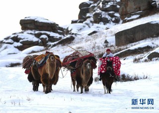 （社会）（5）新疆吉木乃：萨吾尔冬牧文化旅游节开幕