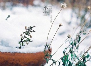 节气小雪：品读那些飘进唐诗宋词里的雪