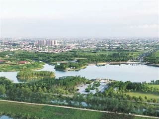 图为海门港新区森林公园. 记者陈沈华摄