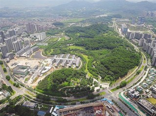 深圳光明凤凰城落地项目投资超2000亿元