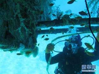 （国际·图文互动）（3）通讯：水下追梦——记埃及首位女性水下焊接工程师
