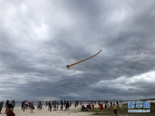 （XHDW）（6）潍坊风筝展及文化互动体验活动在毛里求斯举行
