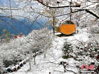 据了解,此次降雪的区域为什邡市红枫岭,钟鼎寺,神瀑沟等地,是什邡山区