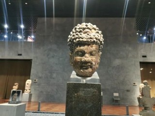 资料图 警方供图 华龙网-新重庆客户端发