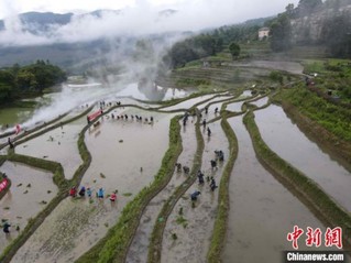 云南元阳哈尼梯田“开秧门”祈丰收