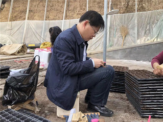 全国农业科技现代化先行县共建工作_山东省潍坊市寿光农业科技发展_山东寿光农业信息网