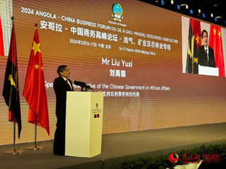 中国政府非洲事务特别代表刘禹锡。人民网记者 张荣摄