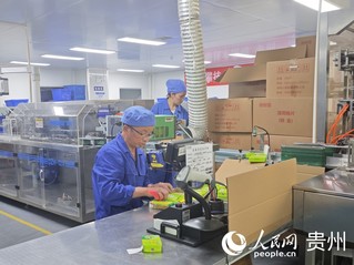 红云制药（贵州）有限公司生产车间工作人员在打包药品。人民网 黄小桃摄