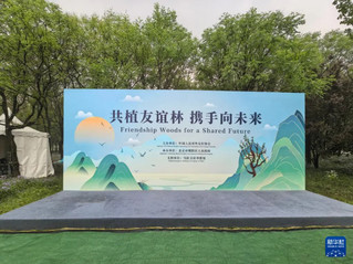 图为活动现场。新华社记者 白鑫雨 摄