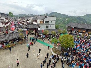 手工苔茶加工一条街。