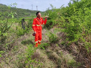 冯再华正在巡林。王芸 摄.jpg