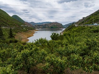 古达乡水营村夹岩水库周边樱桃采摘园 陈春志 摄 (3).jpg
