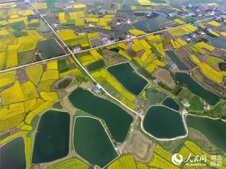 枝江问安镇万年村(望作信 摄)