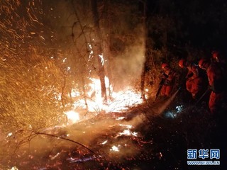 （XHDW）（1）昆明龙池山发生山火 森林消防150人紧急扑救