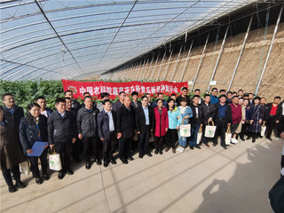 山东寿光农业信息网_全国农业科技现代化先行县共建工作_山东省潍坊市寿光农业科技发展