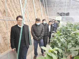 山东省潍坊市寿光农业科技发展_山东寿光农业信息网_全国农业科技现代化先行县共建工作