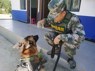 戍边警犬滇王与联防员亲密互动。腾冲市公安局供图