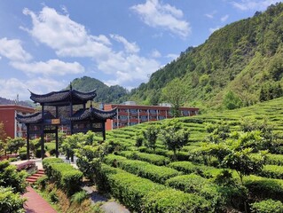 校园一角。