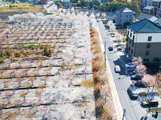 “四好农村路”沿线美丽风光。余杭区交通运输局供图