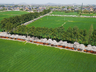 “四好农村路”沿线美丽风光。余杭区交通运输局供图