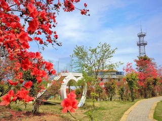 莲峰三村风景秀丽 。城南镇供图