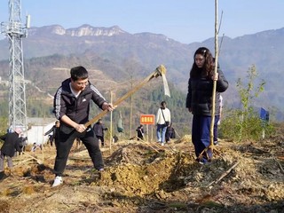 干部群众参与植树活动（思南融媒体中心供图）