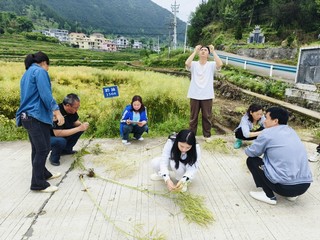 4.印江青年人才破解村级集体经济发展难题。铜仁市委宣传部供图