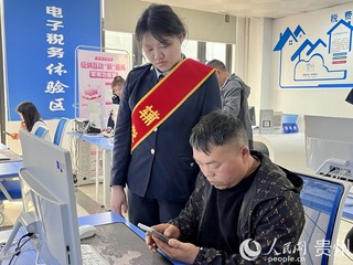 龙里县税务局工作人员手把手帮助新办企业快速了解税收政策、掌握办税流程。人民网 陈洁泉摄.jpg