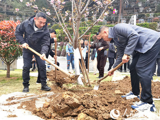 开展“生命纪念林”植树活动。人民网记者 王秀芳摄