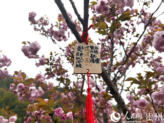 悬挂“生命寄语”木牌。人民网记者 王秀芳摄