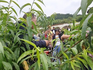 图为：农机人员进行蔬果指导（司宇 摄）.jpg