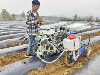 井窖打孔投苗移栽机大大提高移栽效率。