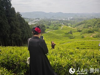 神鹊茶场内，游客正在拍照打卡。人民网 黄小桃摄