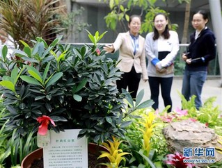 （图文互动）（1）北京世园会200余个特有珍稀植物品种搬入北京植物园
