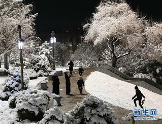 （XHDW）（1）塔什干迎来降雪