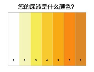 尿完低头看一眼,尿液颜色反映健康信息